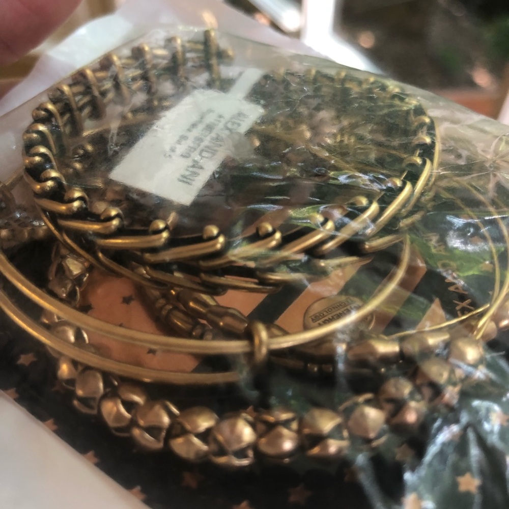NWT Alex & Ani retired snowflake set of 5 bangle - Picture 5 of 5